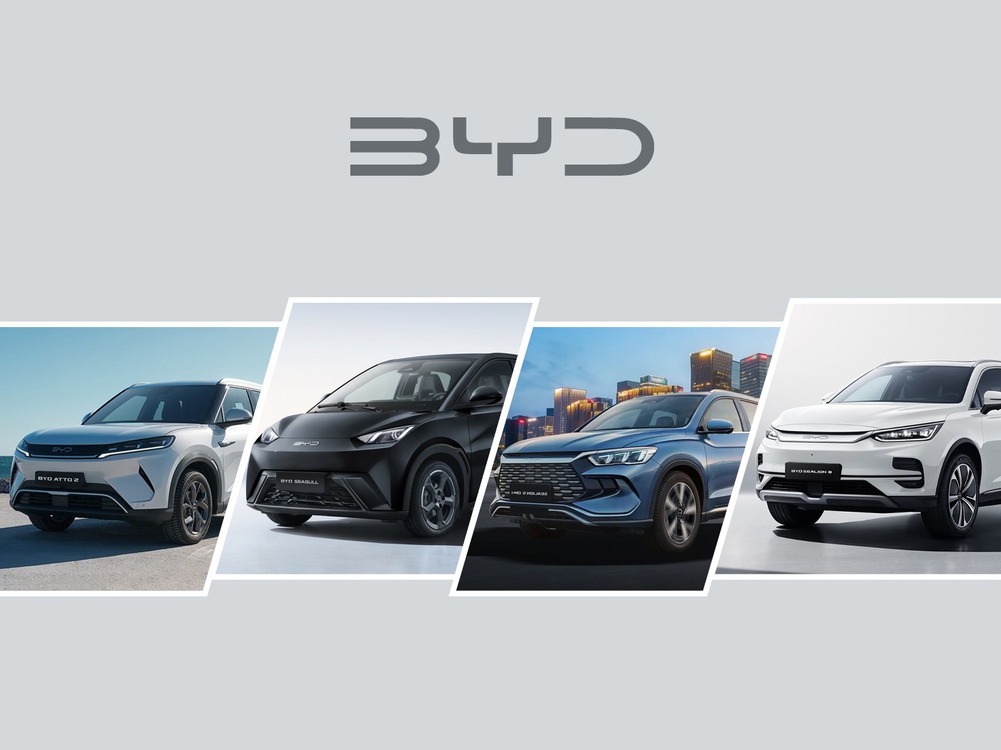 BYD Bayswater